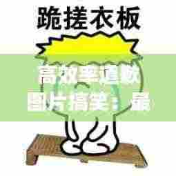 高效率道歉图片搞笑:最有效的道歉