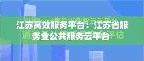 江苏高效服务平台：江苏省服务业公共服务云平台 