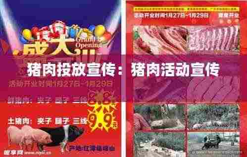 猪肉投放宣传:猪肉活动宣传