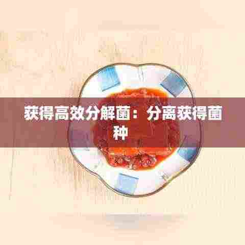 获得高效分解菌:分离获得菌种