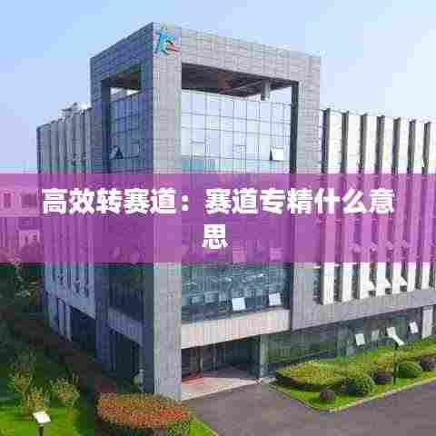 高效转赛道:赛道专精什么意思