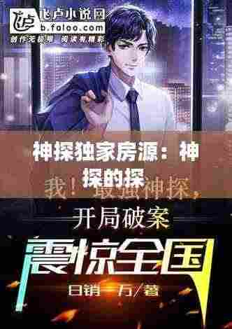 神探独家房源:神探的探