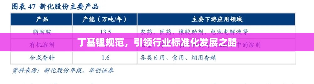 丁基锂规范，引领行业标准化发展之路