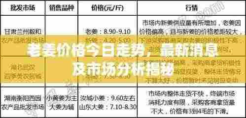 老姜价格今日走势,最新消息及市场分析揭秘