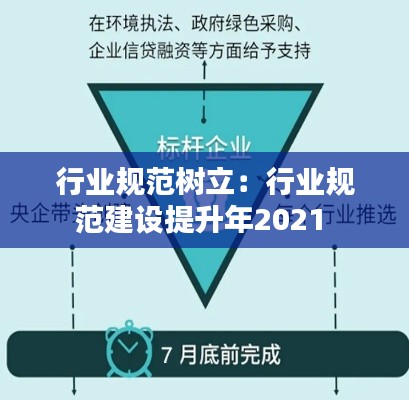 行业规范树立：行业规范建设提升年2021 
