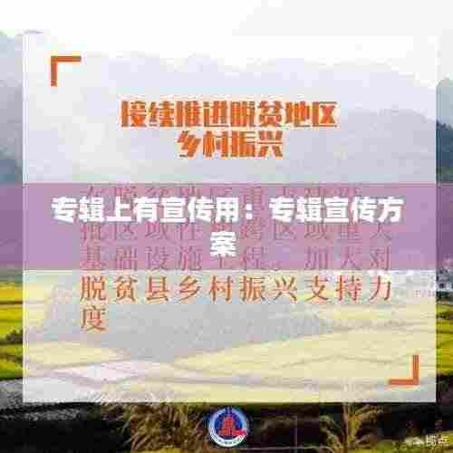 专辑上有宣传用：专辑宣传方案 