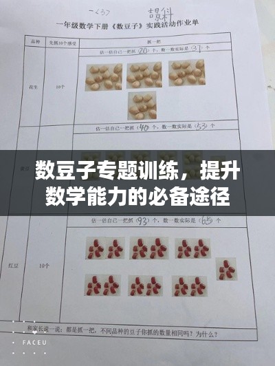 数豆子专题训练,提升数学能力的必备途径