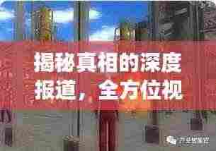揭秘真相的深度报道,全方位视角挖掘事件全貌