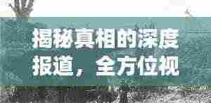 揭秘真相的深度报道,全方位视角挖掘事件全貌