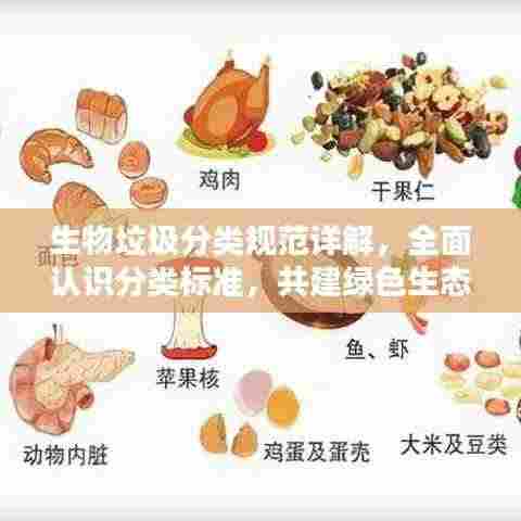 生物垃圾分类规范详解,全面认识分类标准,共建绿色生态家园