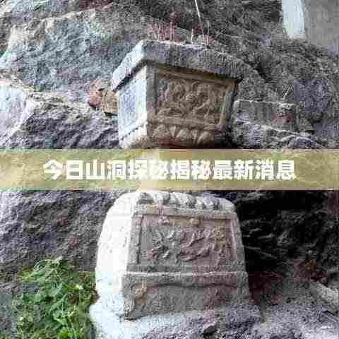 今日山洞探秘揭秘最新消息