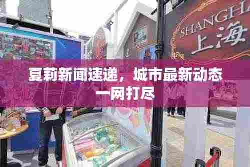 夏莉新闻速递,城市最新动态一网打尽