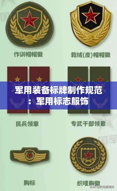 军用装备标牌制作规范:军用标志服饰