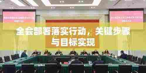 全会部署落实行动,关键步骤与目标实现