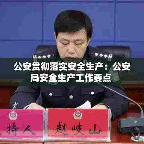 公安贯彻落实安全生产:公安局安全生产工作要点
