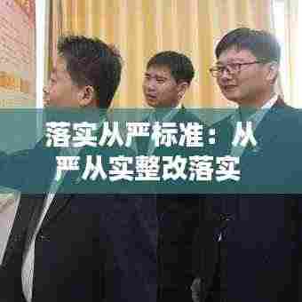 落实从严标准：从严从实整改落实 