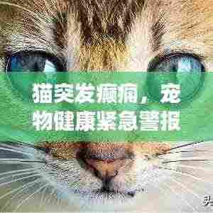 猫突发癫痫，宠物健康紧急警报！