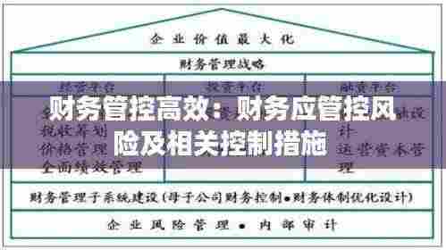 财务管控高效：财务应管控风险及相关控制措施 