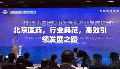北京医药，行业典范，高效引领发展之路