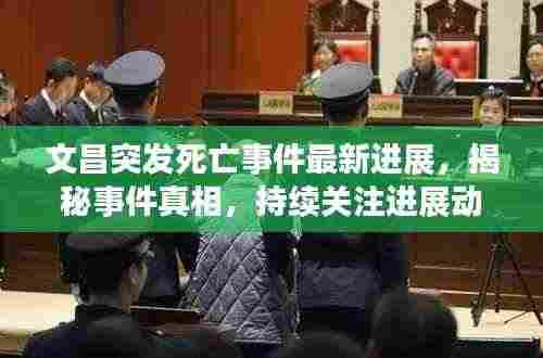 文昌突发死亡事件最新进展,揭秘事件真相,持续关注进展动态