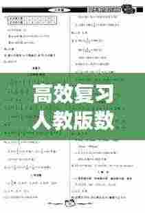 高效复习人教版数学答案：高效训练册答案 