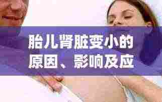 胎儿肾脏变小的原因、影响及应对策略