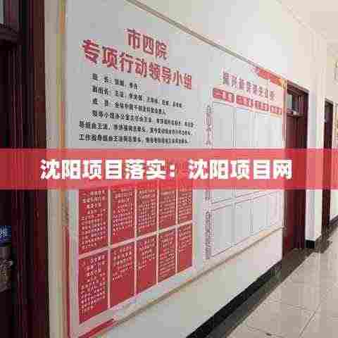 沈阳项目落实:沈阳项目网