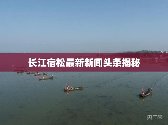 长江宿松最新新闻头条揭秘