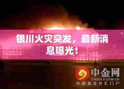 银川火灾突发,最新消息曝光!