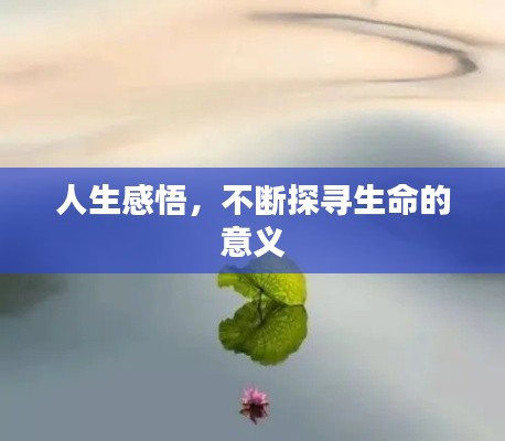 人生感悟，不断探寻生命的意义