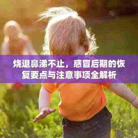 烧退鼻涕不止,感冒后期的恢复要点与注意事项全解析