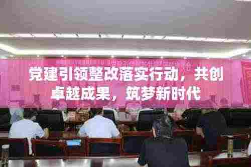 党建引领整改落实行动，共创卓越成果，筑梦新时代