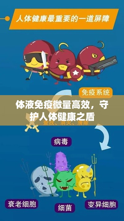 体液免疫微量高效，守护人体健康之盾