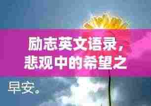 励志英文语录，悲观中的希望之光