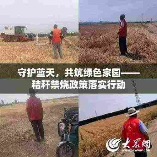 守护蓝天,共筑绿色家园——秸秆禁烧政策落实行动