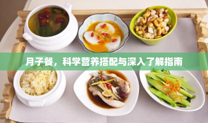 月子餐,科学营养搭配与深入了解指南