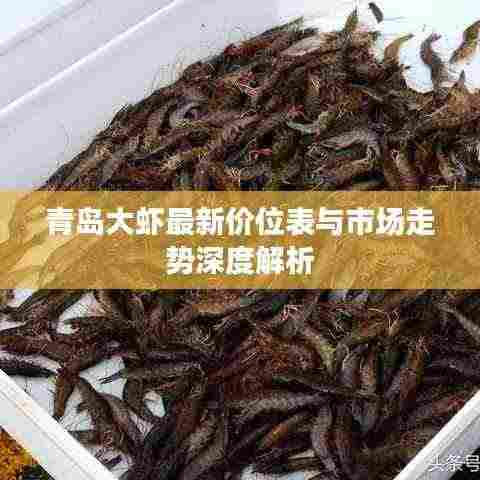 青岛大虾最新价位表与市场走势深度解析