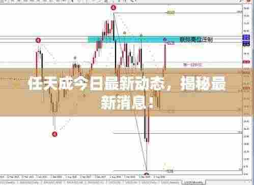 任天成今日最新动态，揭秘最新消息！