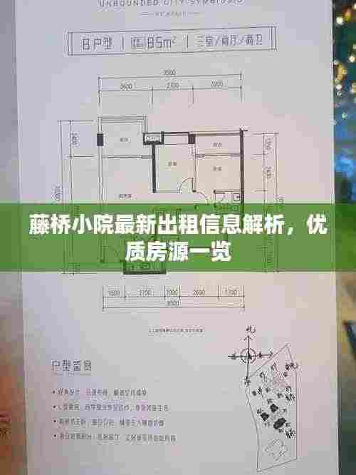 藤桥小院最新出租信息解析，优质房源一览