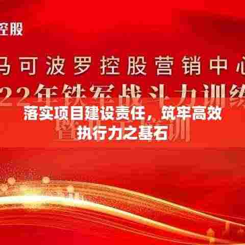 落实项目建设责任，筑牢高效执行力之基石