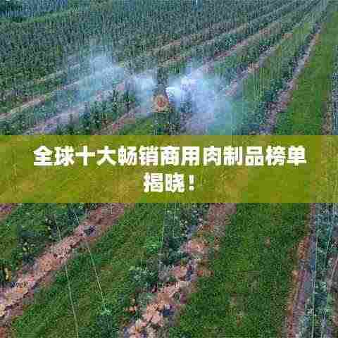 饭来张口 第3页