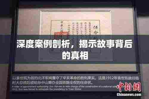 深度案例剖析，揭示故事背后的真相