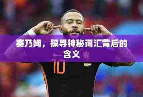 赛乃姆，探寻神秘词汇背后的含义