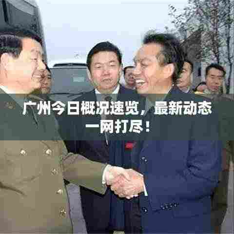 广州今日概况速览,最新动态一网打尽!