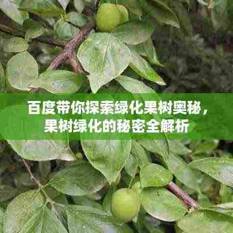 百度带你探索绿化果树奥秘,果树绿化的秘密全解析