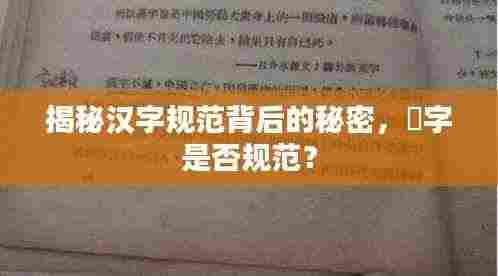 揭秘汉字规范背后的秘密，慜字是否规范？