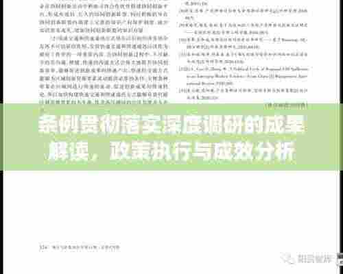 条例贯彻落实深度调研的成果解读,政策执行与成效分析