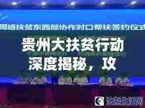贵州大扶贫行动深度揭秘,攻坚战背后的故事