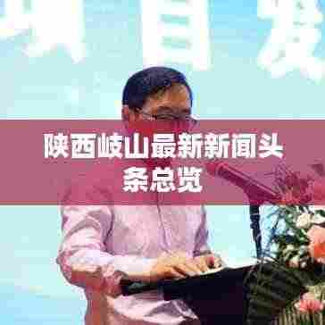 陕西岐山最新新闻头条总览