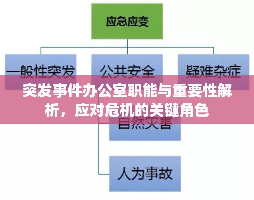 突发事件办公室职能与重要性解析,应对危机的关键角色